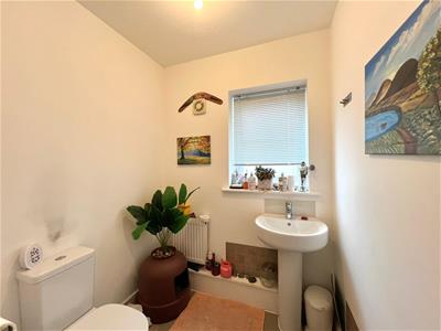 Picture 7